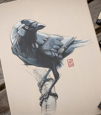 ROYAL TALENS acrylverf AMSTERDAM Greys, 12 x 20 ml