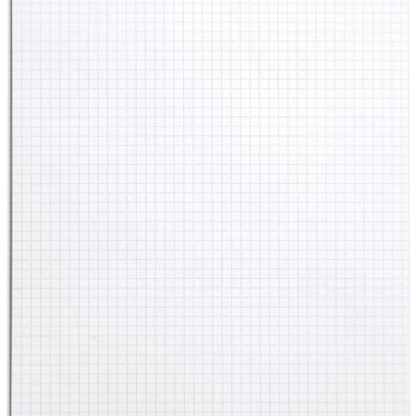 RHODIA schrijfblok no. 18, DIN A4, geruit, wit