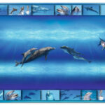 HERMA schrijfonderlegger 'Dolfijn', (B)550 x (H)350 mm