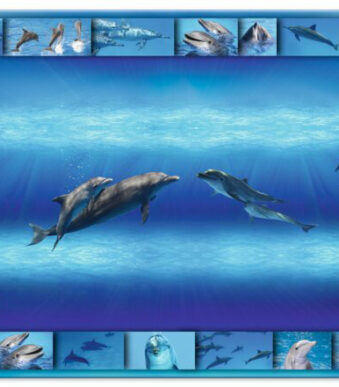 HERMA schrijfonderlegger 'Dolfijn', (B)550 x (H)350 mm