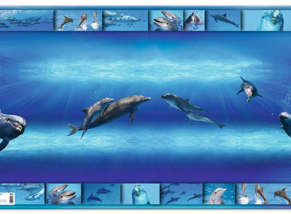 HERMA schrijfonderlegger 'Dolfijn', (B)550 x (H)350 mm