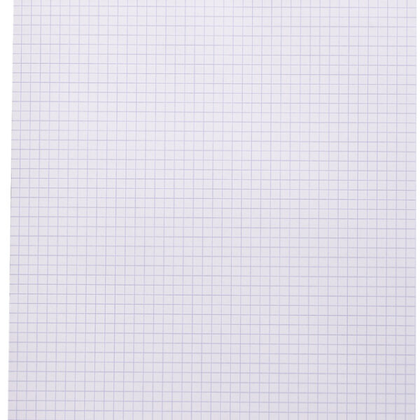 RHODIA schrijfblok no. 19, DIN A4+, geruit, zwart