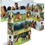 HERMA motiefordner 'Dierenwereld', DIN A4, Paardenwei