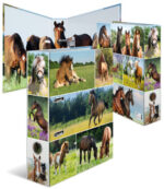 HERMA motiefordner 'Dierenwereld', DIN A4, Paardenwei