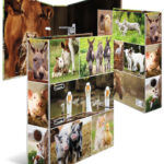 HERMA motiefordner 'Dierenwereld', DIN A4, Boerderijdieren