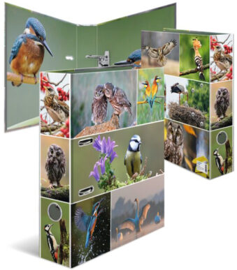 HERMA motiefordner 'Dierenwereld', DIN A4, Inheemse vogels