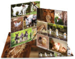 HERMA hoekspanmap 'Boerderijdieren', karton, DIN A4