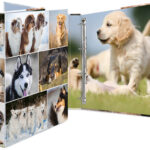 HERMA ringband ´Honden´, DIN A4, 4-rings mechaniek, rugbreedte: 35 mm