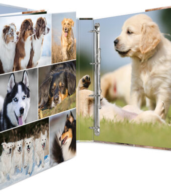 HERMA ringband ´Honden´, DIN A4, 4-rings mechaniek, rugbreedte: 35 mm