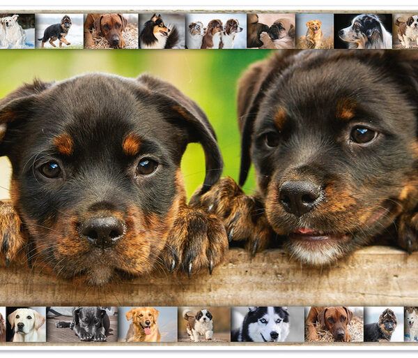 HERMA schrijfonderlegger ´Honden´, 550 x 350 mm