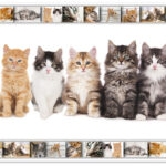 HERMA schrijfonderlegger ´Katten´, 550 x 350 mm