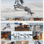 HERMA schrijfonderlegger ´Paarden´, 550 x 350 mm