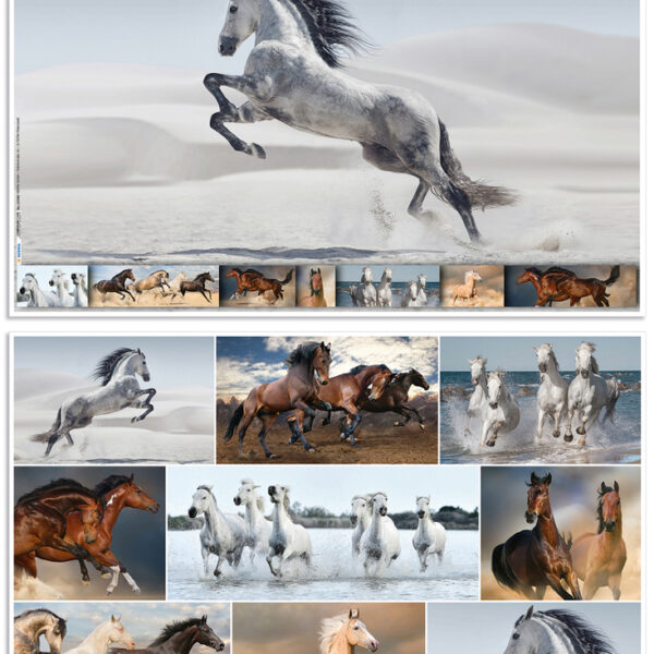 HERMA schrijfonderlegger ´Paarden´, 550 x 350 mm