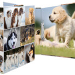 HERMA ringband ´Dieren´ - Honden, DIN A4, 2-rings mechaniek, rugbreedte: 35 mm