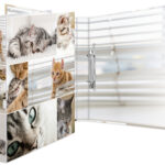 HERMA ringband ´Dieren´ - Katten, DIN A4, 2-rings mechaniek, rugbreedte: 35 mm