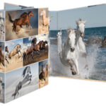 HERMA ringband ´Dieren´ - Paarden, DIN A4, 2-rings mechaniek, rugbreedte: 35 mm