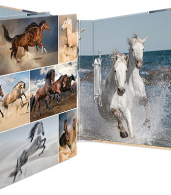 HERMA ringband ´Dieren´ - Paarden, DIN A4, 2-rings mechaniek, rugbreedte: 35 mm