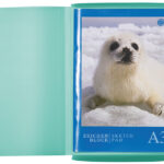 HERMA hoekspanmap, PP, DIN A3, turquoise-doorschijnend