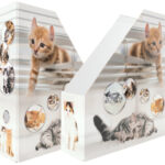 HERMA tijdschriftencassette 'Poezen', DIN A4, karton, (B)85 mm