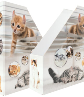 HERMA tijdschriftencassette 'Poezen', DIN A4, karton, (B)85 mm