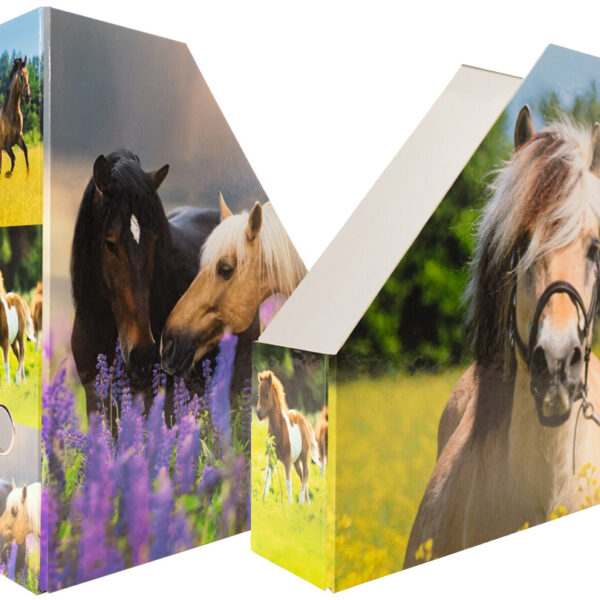 HERMA tijdschriftencassette 'Paarden', DIN A4, karton, (B)85 mm
