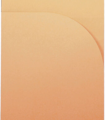 RHODIA spiraalblok Notepad, DIN A4, geruit, zwart