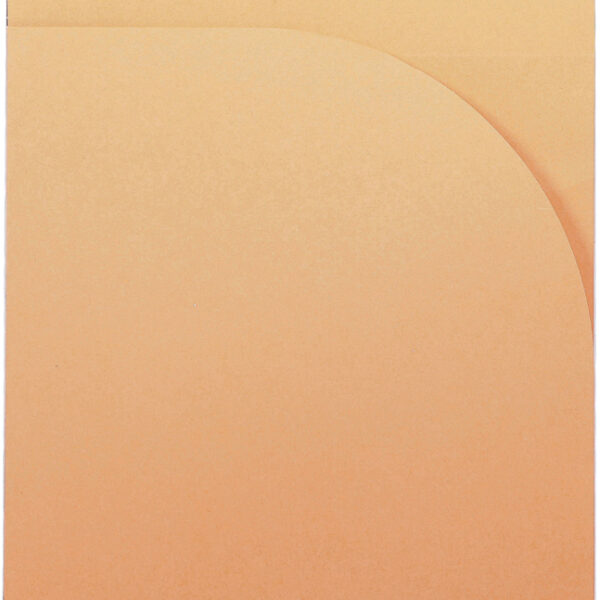 RHODIA spiraalblok Notepad, DIN A4, geruit, zwart