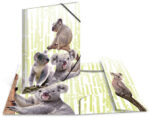 HERMA hoekspanmap exotische dieren, A4, Koalafamilie