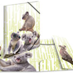 HERMA hoekspanmap exotische dieren, A4, Koalafamilie