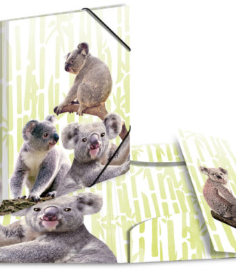 HERMA hoekspanmap exotische dieren, A4, Koalafamilie