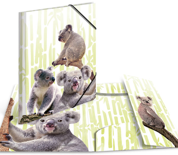 HERMA hoekspanmap exotische dieren, A4, Koalafamilie