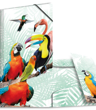 HERMA hoekspanmap exotische dieren, A4, Tropen