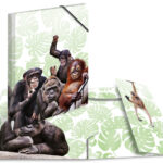 HERMA hoekspanmap exotische dieren, A4, Apenbende