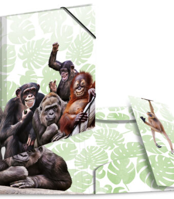 HERMA hoekspanmap exotische dieren, A4, Apenbende