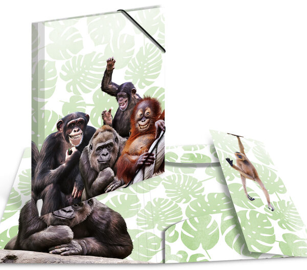 HERMA hoekspanmap exotische dieren, A4, Apenbende