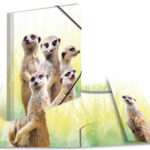 HERMA hoekspanmap exotische dieren, A4, Stokstaartjes