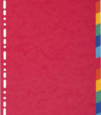 EXACOMPTA kartonnen tabbladen, DIN A4, 12-delig