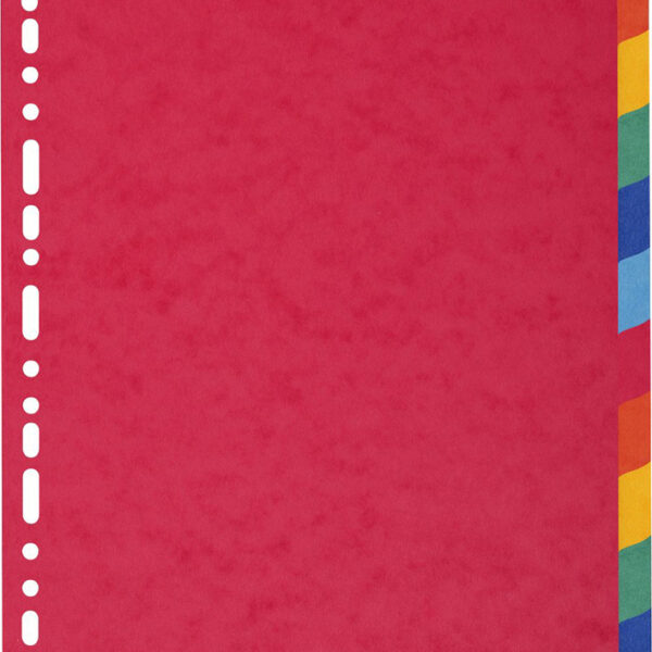 EXACOMPTA kartonnen tabbladen, DIN A4, 12-delig