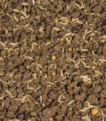 COMPO zaad gazon reparatie complete mix+, 4 kg voor 20 m2