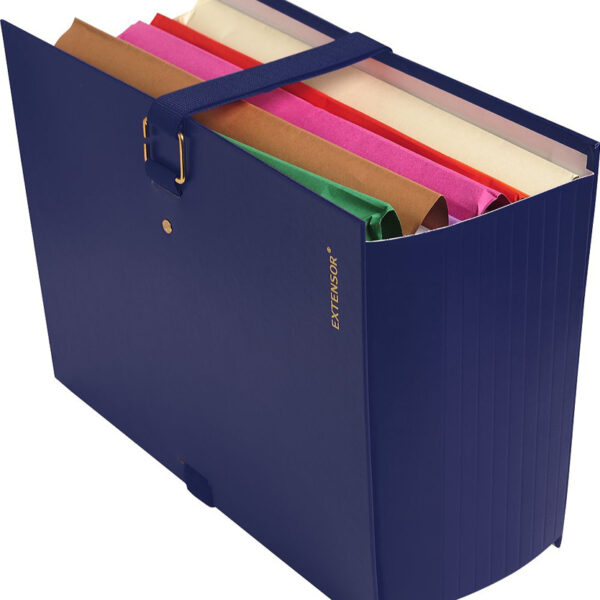 EXACOMPTA documentenmap EXTENSOR, DIN A4, blauw