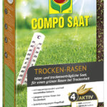 COMPO graszaad voor droge plekken, 1 kg voor 40 m2