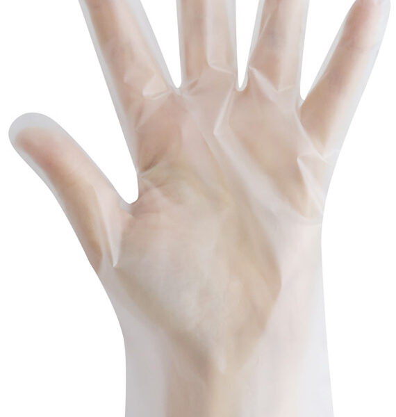 HYGOSTAR TPE-handschoen ALLFOOD THERMOSOFT, M, transparant