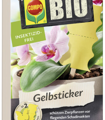 COMPO BIO geelsticker, lijmval, insecticidenvrij