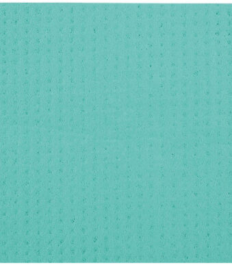 HYGOCLEAN sponsdoek, 200 x 180 mm, groen, 10 stuks