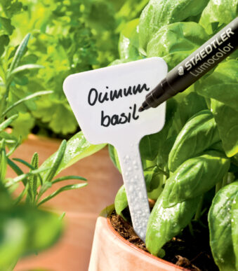 STAEDTLER Lumocolor tuinmarker Garden, zwart