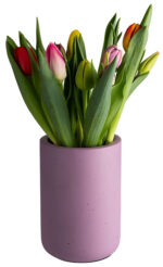 APS flessenkoeler ELEMENT, beton, lichtroze