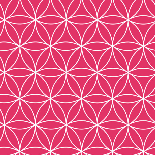 SUSY CARD inpakpapier / cadeaupapier 'Levensbloem rood', op rol