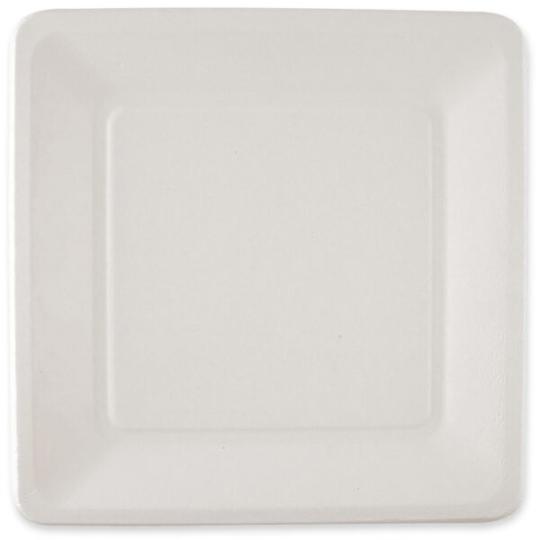NATURE Star suikerriet-bord, vierkant, 260 x 260 mm