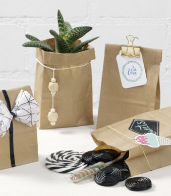 folia papieren zakken met blokbodem, 100 x 55 x 175 mm, naturel