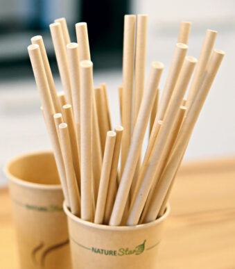 NATURE Star papieren drinkrietje Classic, 197 mm, bruin